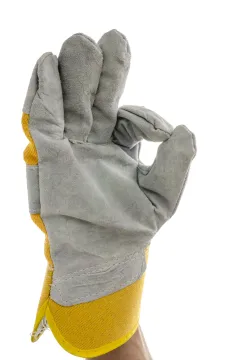 imagem Luvas em Mucurici/ES